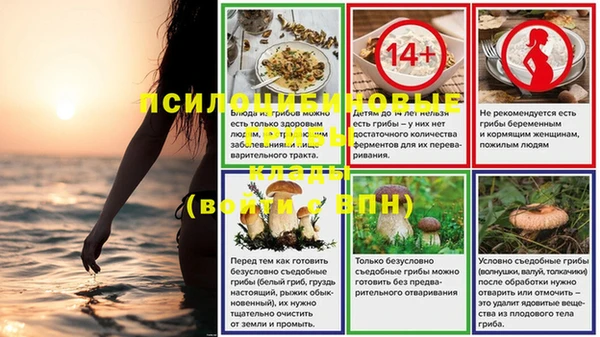 винт Алексеевка