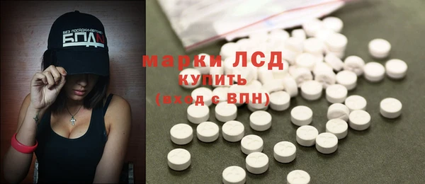 мет Алексин