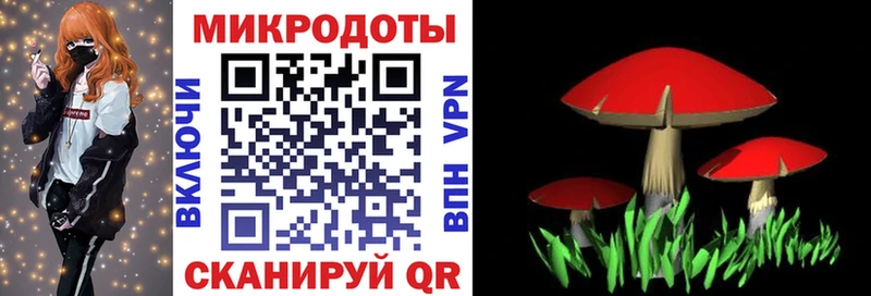 KRAKEN рабочий сайт  наркотики  Ардатов  Псилоцибиновые грибы прущие грибы 